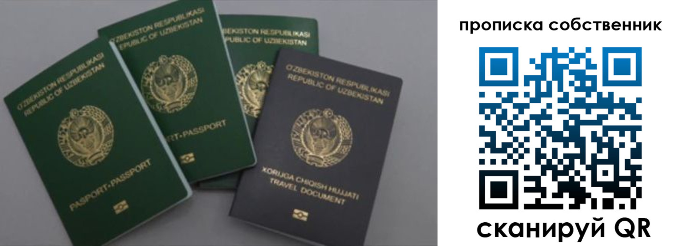 прописка штамп в Лузе